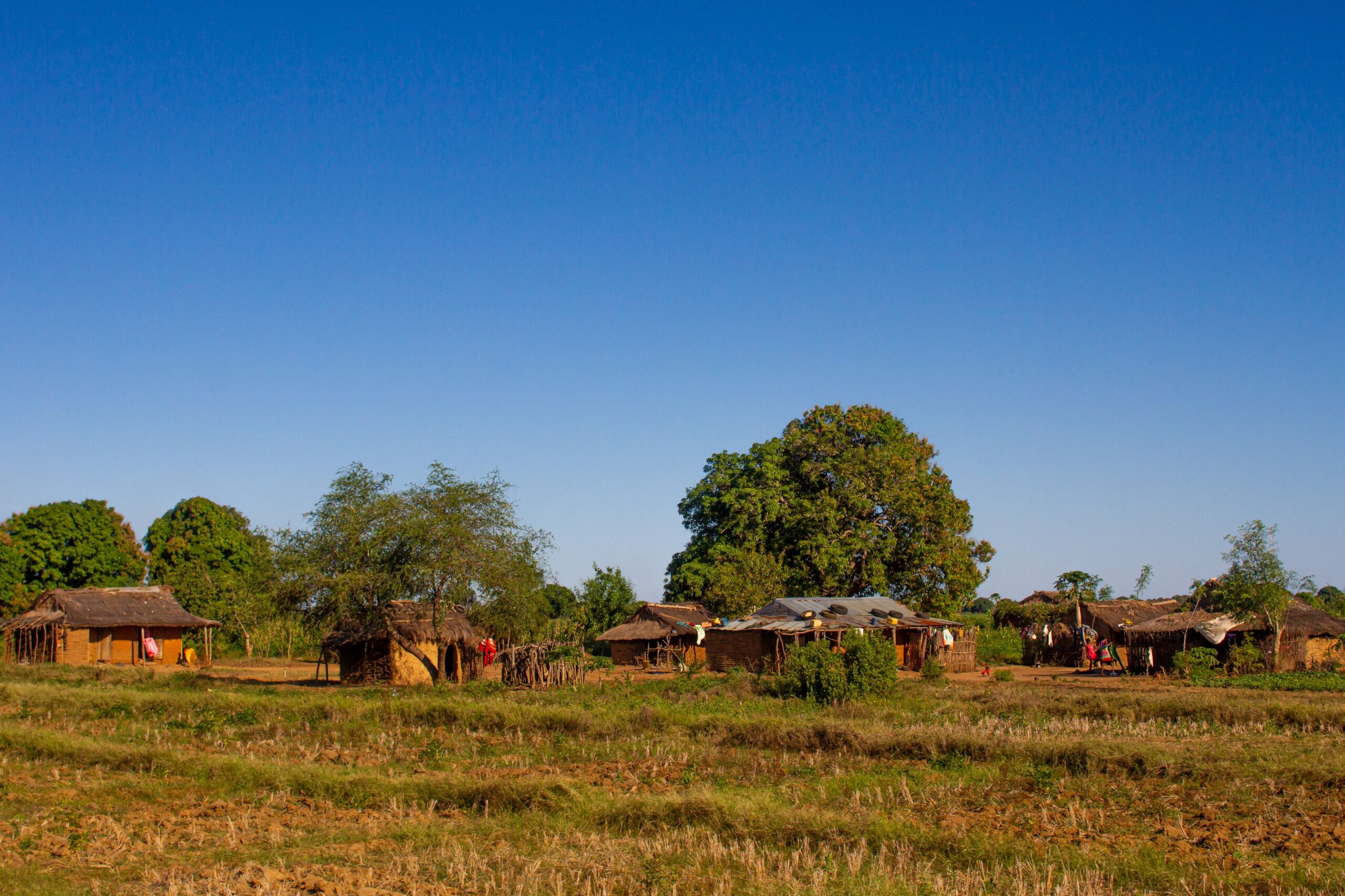 Village traditionnel malgache aux maisons de terre